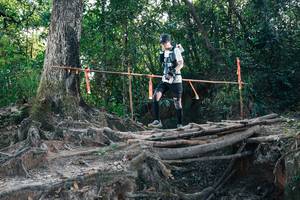 BIB: 
                            <button type="button" onclick="openModal(27747536)" class="btn btn-primary btn-sm float-right btn-popup" data-toggle="modal" data-target=".modal-high-quality">
                        <i class="fas fa-shopping-cart"></i> Add to Cart
                    </button>
                                            <button type="button" onclick="isThisMe(27747536, true)" class="btn btn-success btn-sm float-right btn-popup btn-isme hidden" data-toggle="tooltip" data-placement="bottom" title="นี่คือรูปของคุณใช่ไหม คลิกที่นี่เพื่อเอาเข้าอัลบั้ม">
                        <i class="fas fa-plus"></i> Add to album
                    </button>
                    <button type="button" onclick="isThisMe(27747536, false)" class="btn btn-warning btn-sm float-right btn-popup btn-isnotme hidden">
                        <i class="fas fa-ban"></i> Remove from album
                    </button>